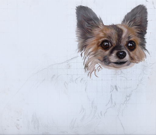 Chippy stage 2